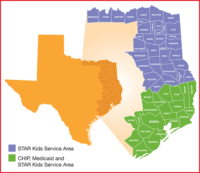 Texas Children s Health Plan